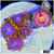 ASD Combo Zoanthids