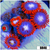 Fire And Ice Zoas
