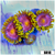 Sunflower Zoanthids