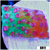 Watermelon Gushers Cyphastrea