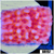 Orange Phoenix Montipora