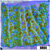 Blueberry Fields Montipora