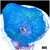 Blue Man Discosoma Mushroom