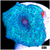 Blue Man Discosoma