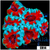 Teal Claw Acan Lord