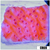 Orange Phoenix Montipora