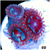 Shadow Fire Zoas