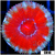 Snow Claw Acan Lord