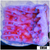 Purple Haze Montipora
