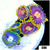 ASD Combo Zoanthids