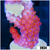 BC Unicorn Bubblebath Acropora