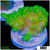 Nuclear Poccilipora