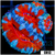 Teal Claw Acan Lord