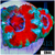 Teal Claw Acan Lord
