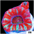 Peppermint Candy Acan Lord