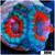 Teal Claw Acan Lord