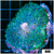 Giant Nuclear Cup Mushroom