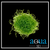 Chaetomorpha Macro Algae (Golf Ball Size)