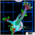 Neon Star Goniopora