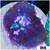 Snowflake Rhodactis Mushroom