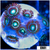 Emerald Eyes Zoanthids