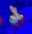 ASD Lokani Smooth Skin Tort Acropora