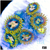 ASD Starry Night Zoanthids