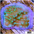 Nuclear Montipora