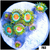 Electric Sunrise Zoanthids