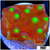 Nuclear Scroll Coral