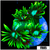 Neon Star Goni