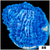 Purple Haze Montipora