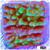 JF Cold Fusion Montipora