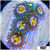 Starry Night Zoanthids