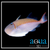 Gold Back Trigger; Juvenile - Xanthichthys caeruleolineatus
