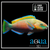 Quoys Parrot - Scarus quoyi