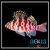Spotted Hawks - Cirrhitichthys aprinus