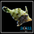 Green File; Atl. - Monacanthus ciliatus
