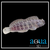Lawnmower Blenny - Salarias fasciatus