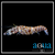 Pistol Shrimp; Tiger - Alpheus sp.