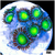Dragon Eyes Zoas