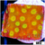 ASD Golden Cyphastrea