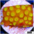 ASD Golden Cyphastrea