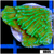 Nuclear Montipora