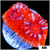 ASD Peppermint Afterburner Chalice