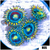 Laser Lemon Zoanthids