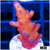 ASD Unicorn Bubblebath Acropora