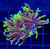 ASD Hellfire Torch