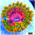 ASD Grand Master Krak Zoanthid