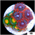 ASD Combo Zoanthids